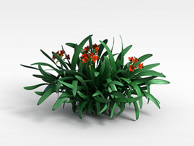 3d橘色小花植物模型