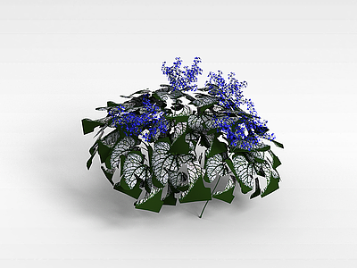 3d紫色小花植物模型
