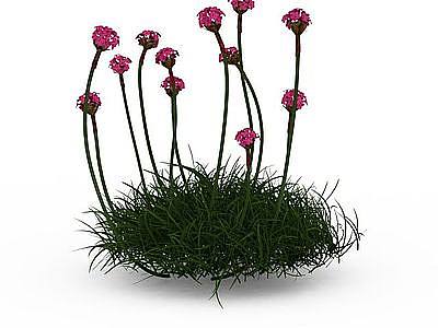 玫红花朵植物模型3d模型
