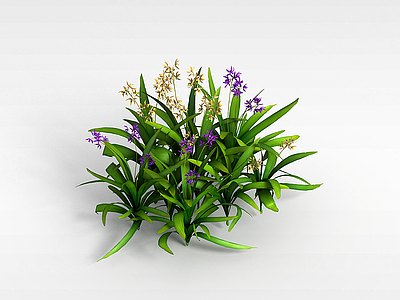 紫色园艺花草模型3d模型