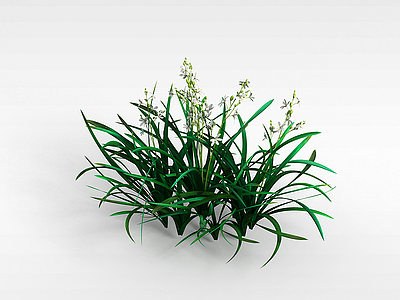 3d白色花朵盆栽模型