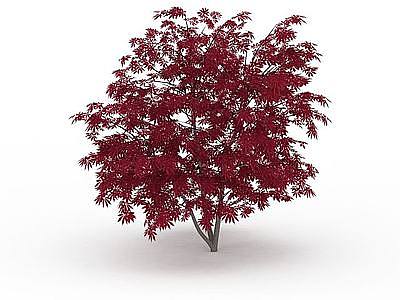 紫红色树叶树木模型3d模型