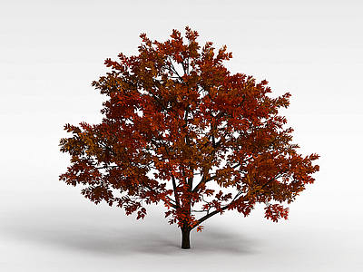 茂盛黄叶子树模型3d模型