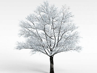 3d白色冬天树木模型