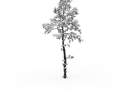 3d冬天挂雪树木免费模型