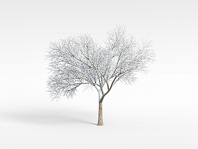 3d白色飘雪树木模型