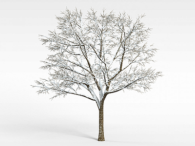 3d冬日树木模型