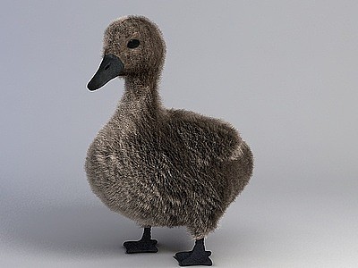 家养鸭子模型3d模型