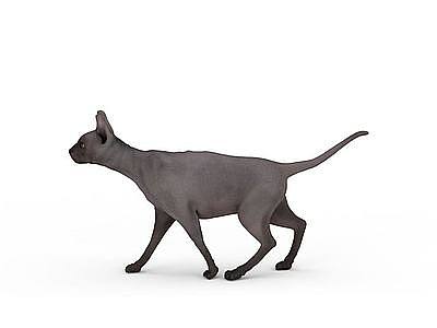3d灰色小猫免费模型