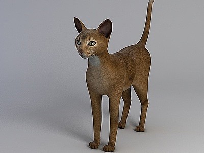 玩具猫模型3d模型