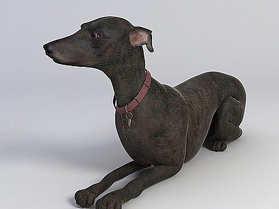 黑色狗模型3d模型