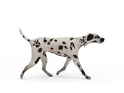 斑点狗模型3d模型