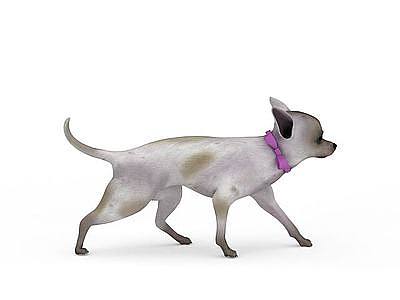 白色斑点狗模型