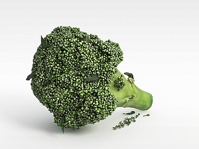 3d绿色花菜模型