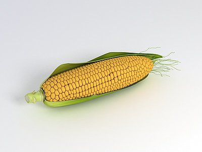 3d新鲜甜玉米模型