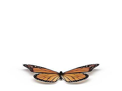 3d花斑蝴蝶免费模型