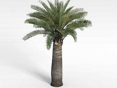 3d热带树木模型