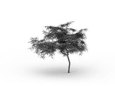 3d尖叶树木免费模型