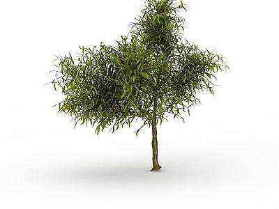 3d尖叶灌木免费模型