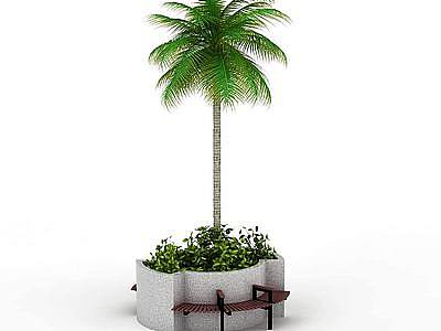 3d公园椰子树模型