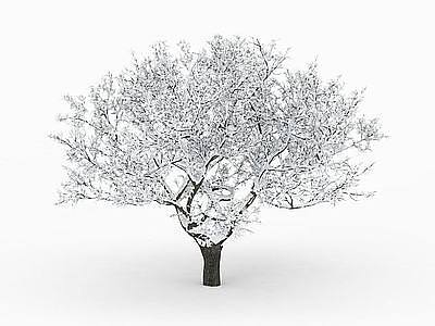 3d冬季落雪树模型