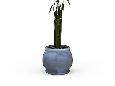 室内富贵竹盆栽模型3d模型
