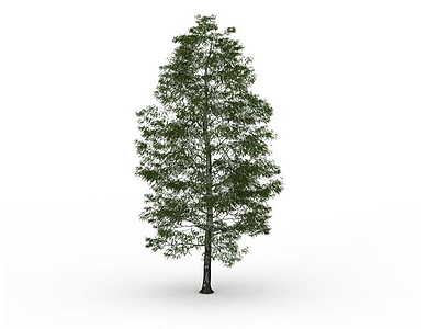 茂盛杨树模型3d模型