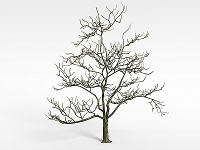 3d枯树模型