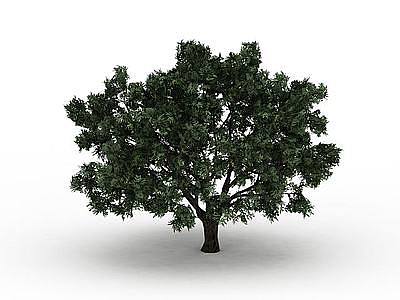 3d青树免费模型
