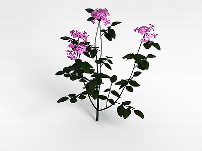 3d仿真植物盆栽模型