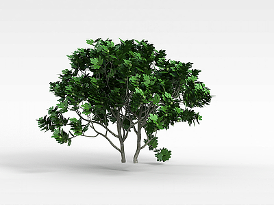 无花果树模型3d模型