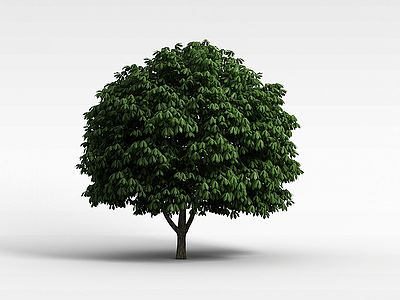 阔叶树模型3d模型