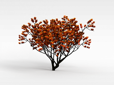 黄叶灌木模型3d模型