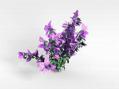 紫叶花草模型3d模型
