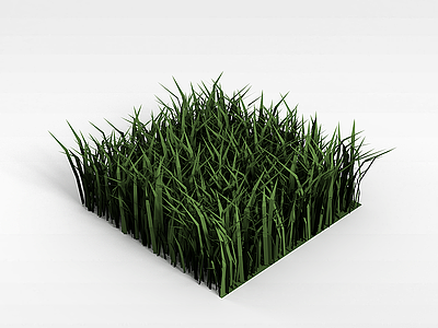 3d公园草坪模型