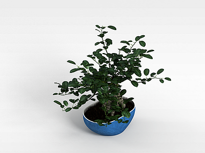 月季盆栽模型3d模型