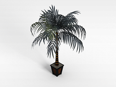 3d袖珍椰子树模型