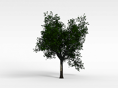 3d道路<font class='myIsRed'>绿化树</font>模型