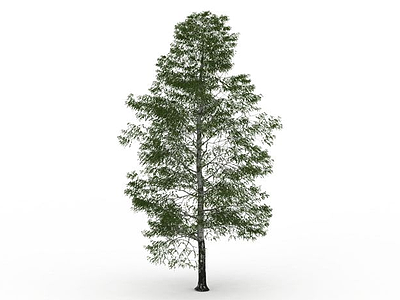 3d公园树木免费模型