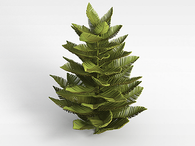 3d翠绿棕榈树模型