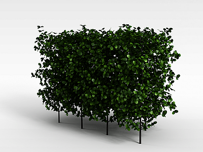 3d圆叶灌木模型