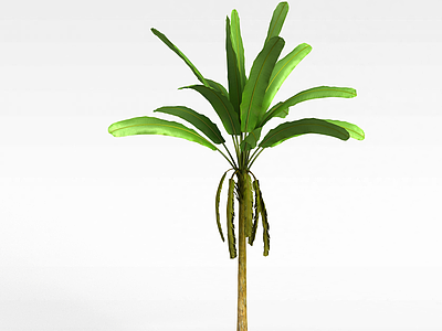 绿色长叶植物模型3d模型