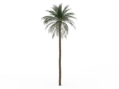 3d绿色椰子树模型