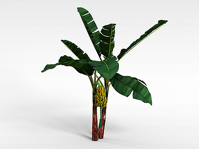 香蕉树模型3d模型