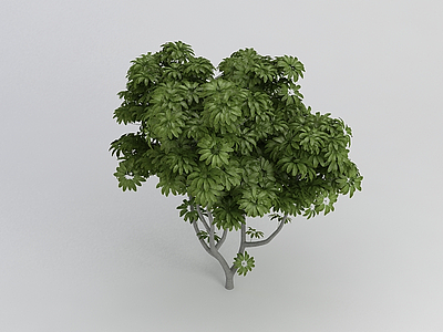 绿色茂密植物模型3d模型