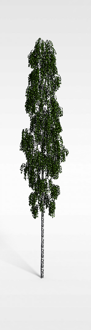 3d绿化苗木模型