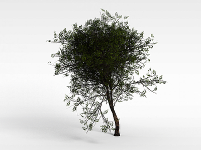绿化苗木模型3d模型