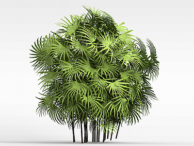 大扇叶子树模型3d模型