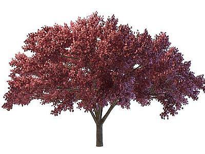 红树模型3d模型