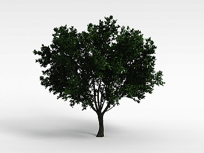绿树模型3d模型